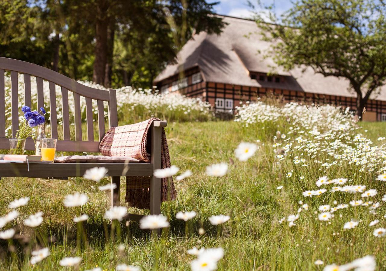 Park Am See X Nattika Ayurveda, Hotel Health Spirit Penzlin Exterior photo